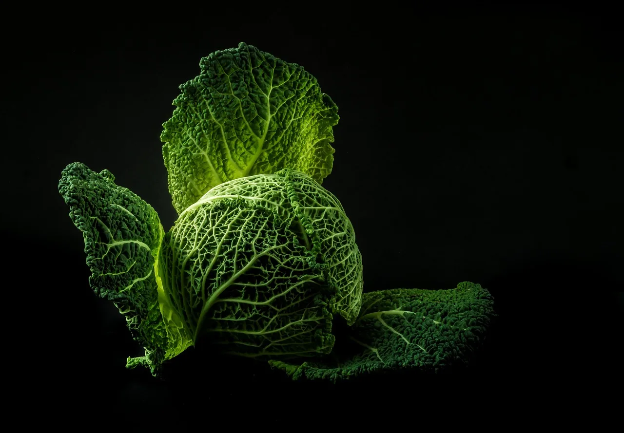 vegetable, cabbage, green, food, fresh, raw, leaves, green food, nature, green vegetable, green leaves, healthy, black background, food photography